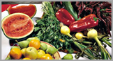 Nutricion