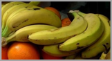 Nutricion