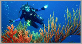 scuba diving argentina