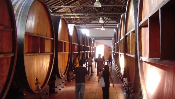 wine school buenos aires n1.jpg