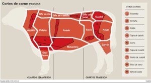 parts of cow