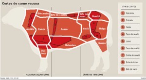 parts of cow