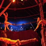 polo circus
