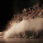 swan lake