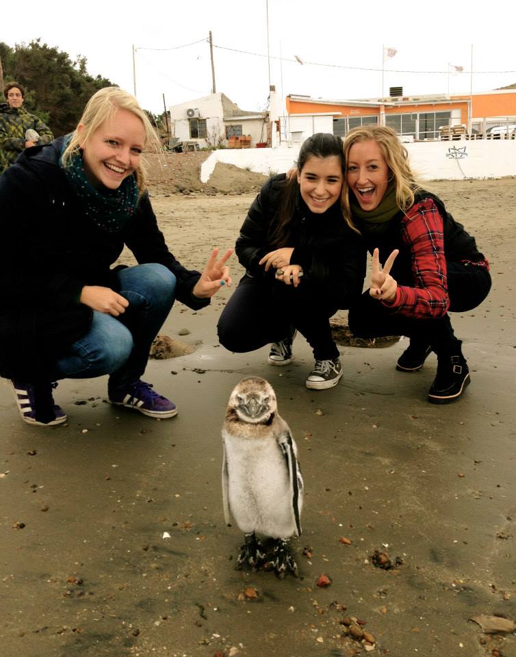 cam penguin