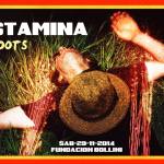 stamina roots