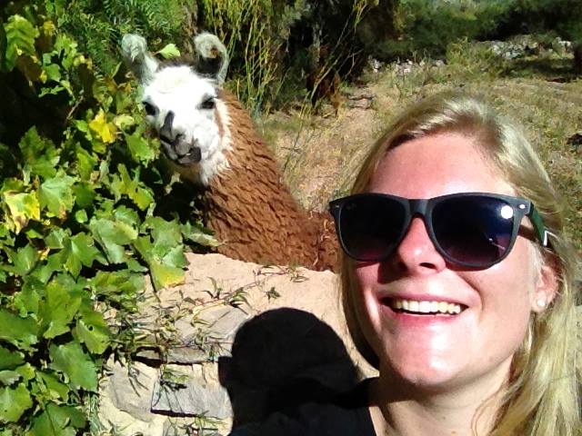 therese llama