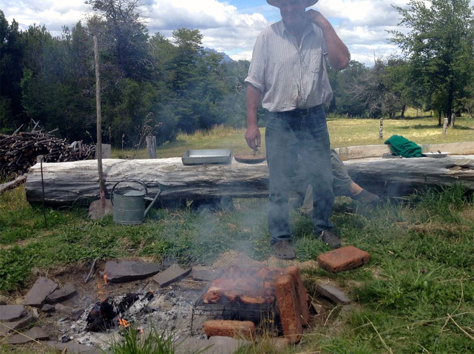 wwoof 2