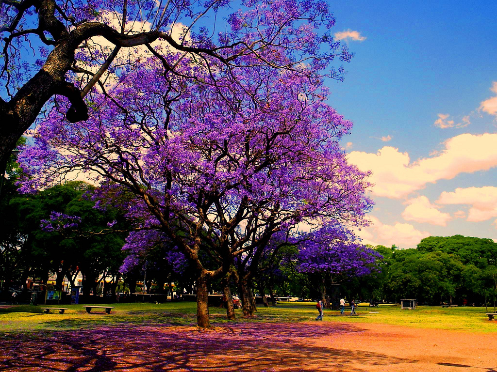 What To Pack Weather In Buenos Aires Argentina Mente Argentina Blog