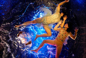 fuerzabruta460