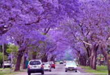 Your Essential Buenos Aires Packing Guide & Weather Forecast (2025)